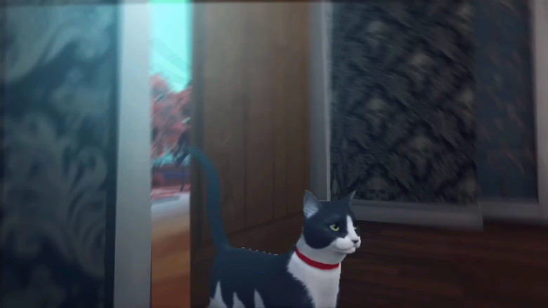 кадр из фильма Dirty Donna