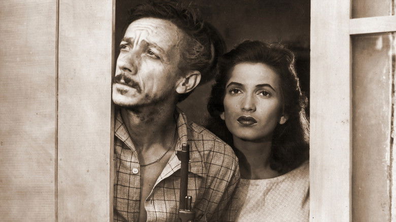 кадр из фильма A Carrocinha