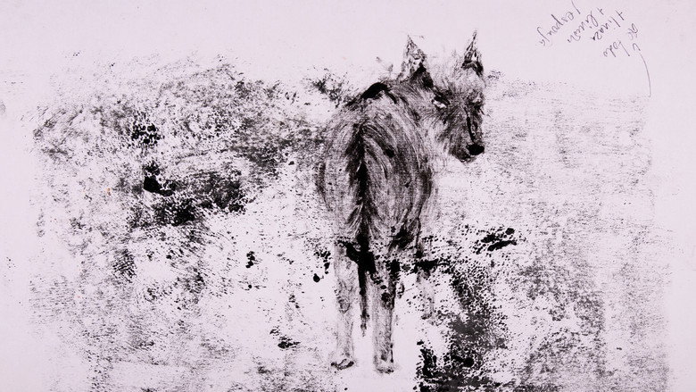 кадр из фильма decaer