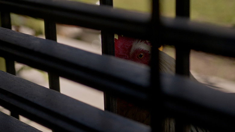 кадр из фильма Ofelia