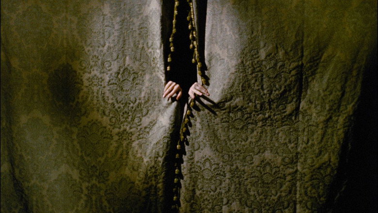 кадр из фильма Mill of the Stone Women & The Gothic Body