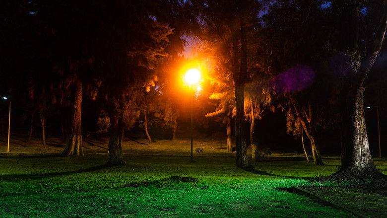 кадр из фильма LIMINAL