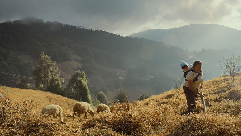 кадр из фильма Oc ni temiki (Sigo soñando)