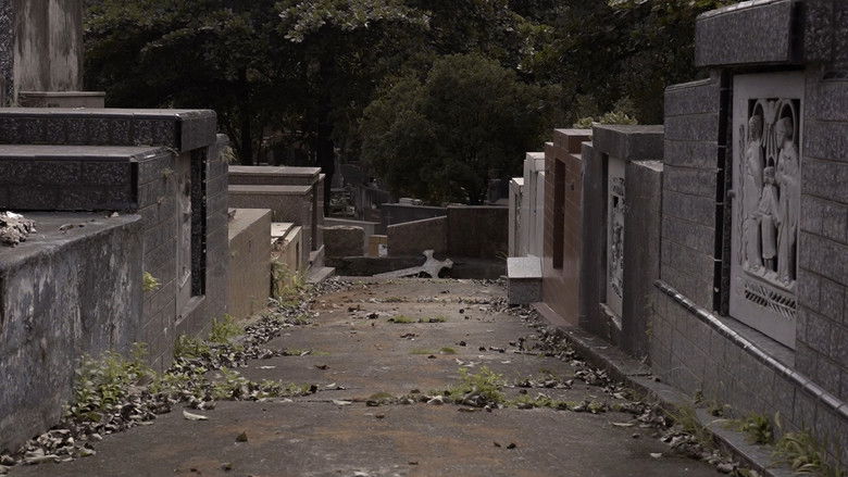 кадр из фильма Andorinhas