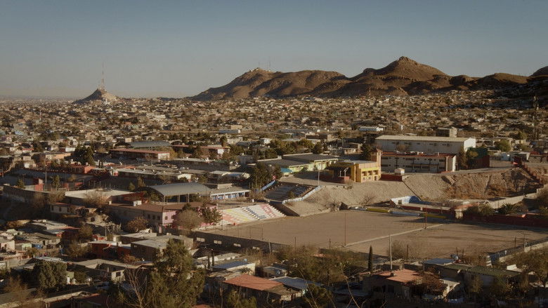 кадр из фильма Libélula