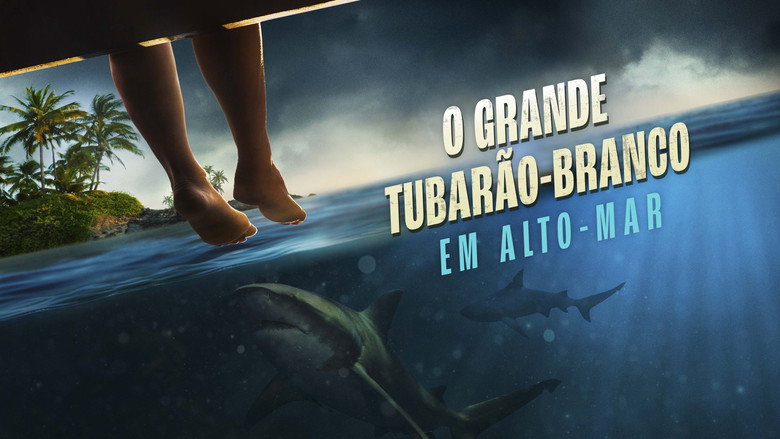 кадр из фильма Great White Open Ocean