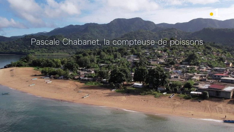 Pascale Chabanet, la compteuse de poissons