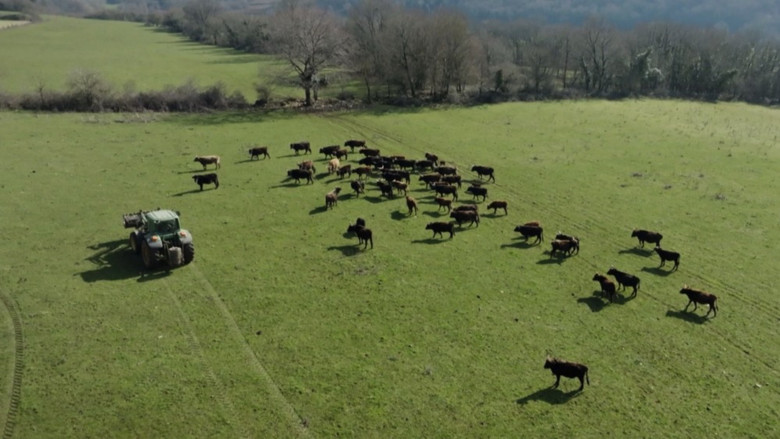 кадр из фильма Dans la peau des premiers paysans français