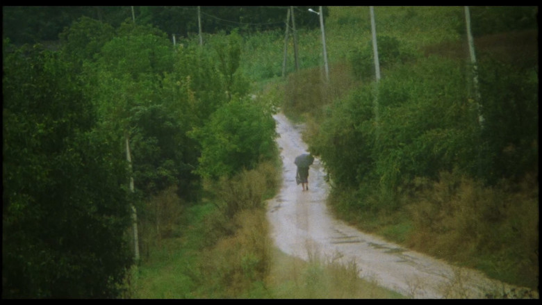 кадр из фильма Adentro mío estoy bailando