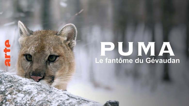 кадр из фильма Puma, le fantôme du Gévaudan