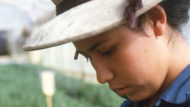 кадр из фильма Amor, mujeres y flores