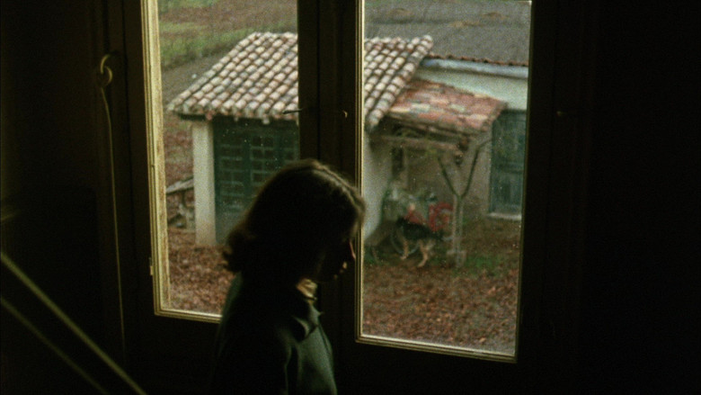 кадр из фильма Юг