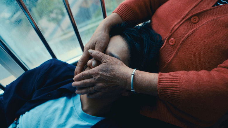 кадр из фильма 如你所愿