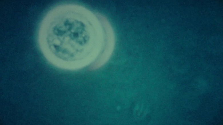 кадр из фильма Kaldalon