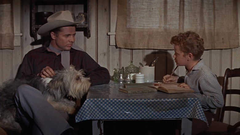 кадр из фильма По кривой дорожке