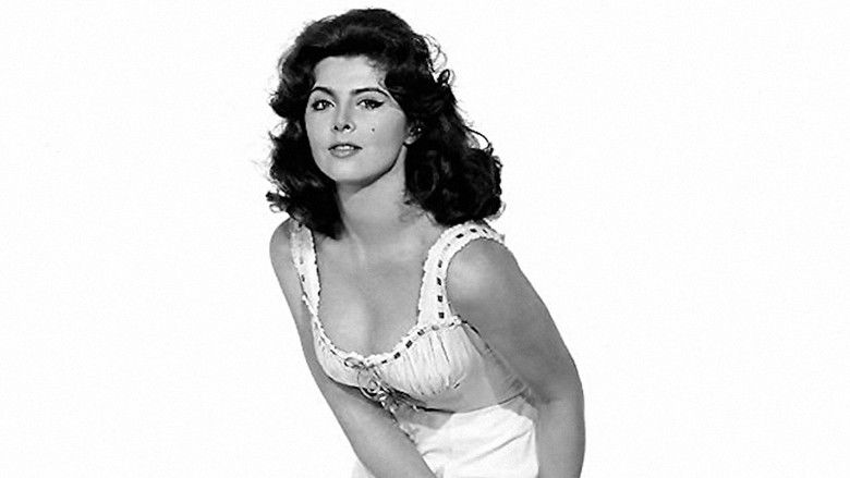 кадр из фильма Палач