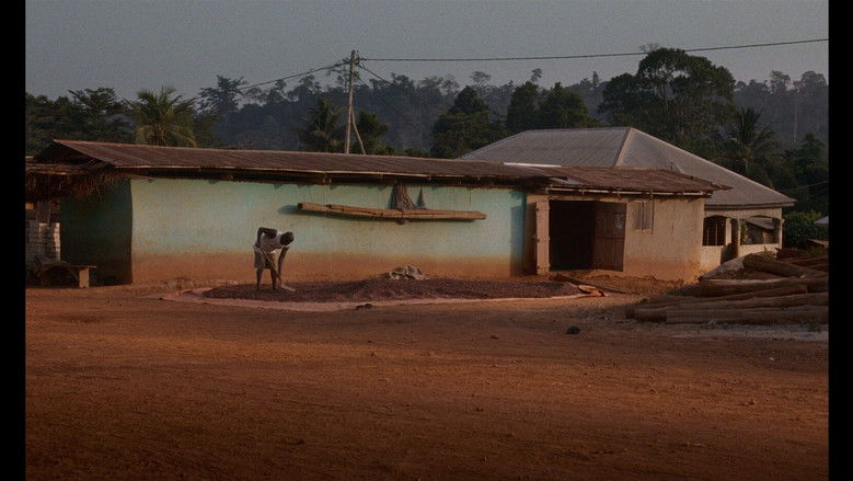 кадр из фильма Bitter Chocolate