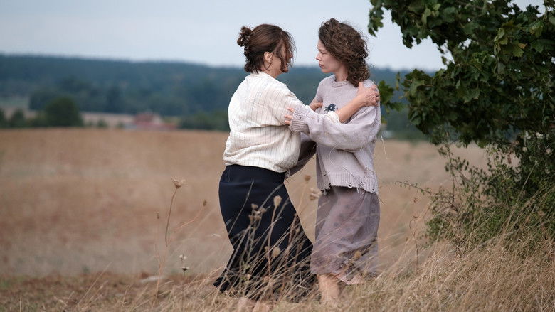 кадр из фильма Отражения №3