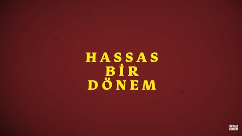 кадр из фильма Hassas Bir Dönem - İsmail Türküsev