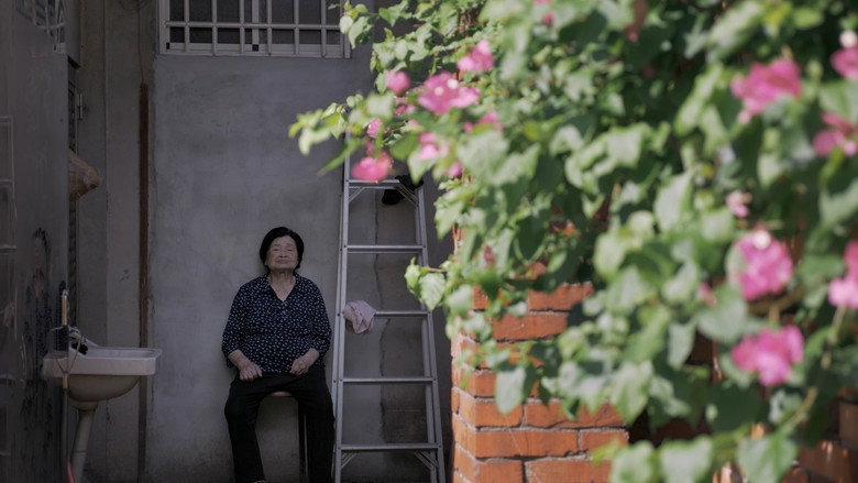 кадр из фильма 屋舍上的葉仔花