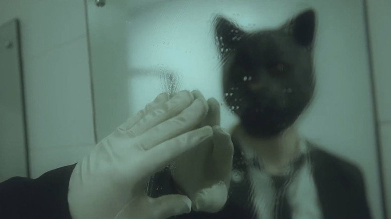 кадр из фильма Cat Face