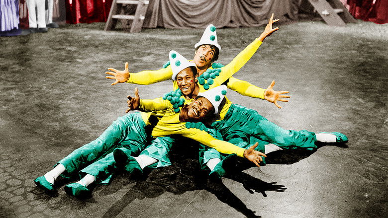 кадр из фильма Пират