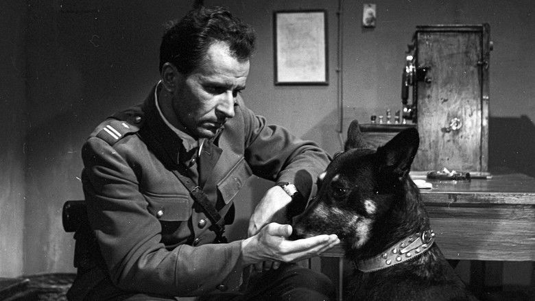 кадр из фильма Вестерплатте