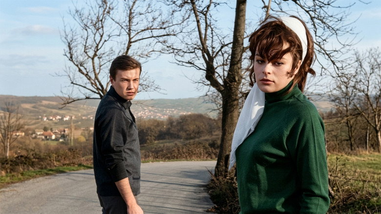 кадр из фильма Yıldızların Altında