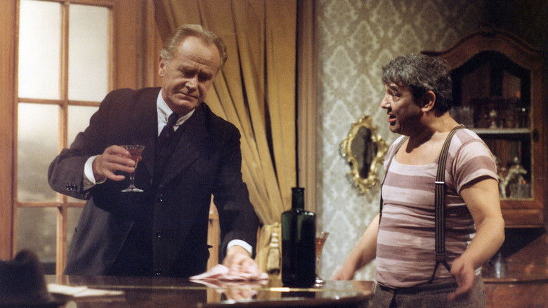 кадр из фильма Kamenný orchestr