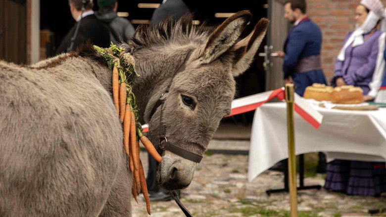 кадр из фильма Иа