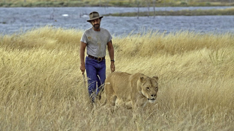 кадр из фильма Баловень судьбы