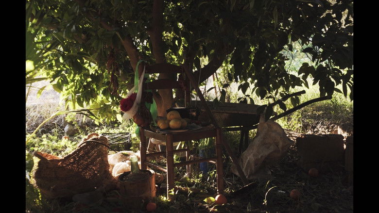 кадр из фильма El Mapa del Agua