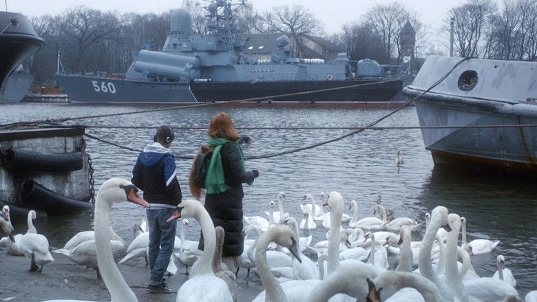 кадр из фильма Шаги