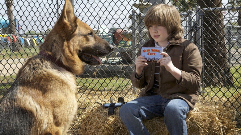 кадр из фильма Великолепный пёс