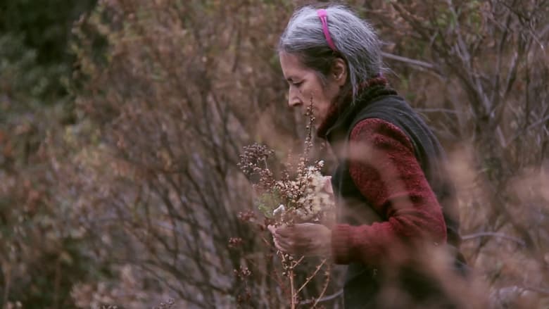 кадр из фильма SemiYa