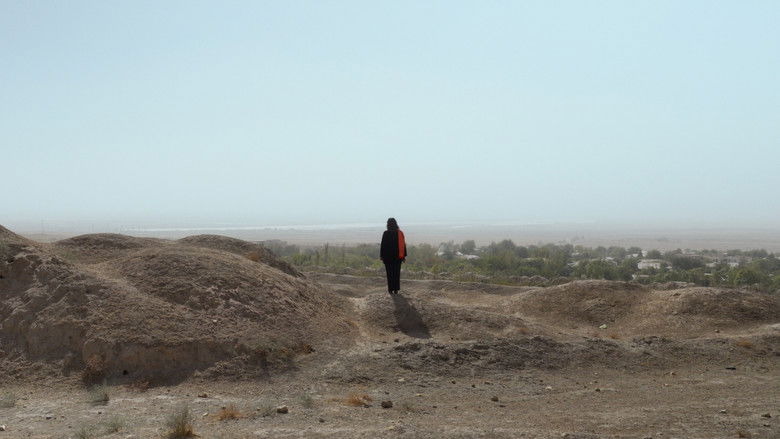 кадр из фильма Die Letzte Botschafterin