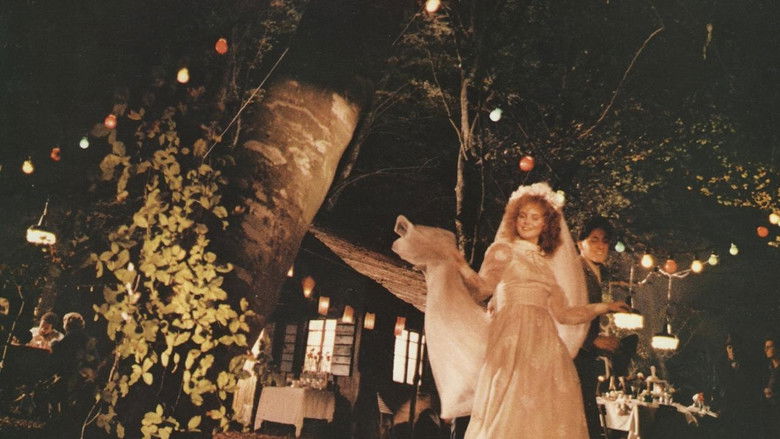 кадр из фильма Забыть Венецию