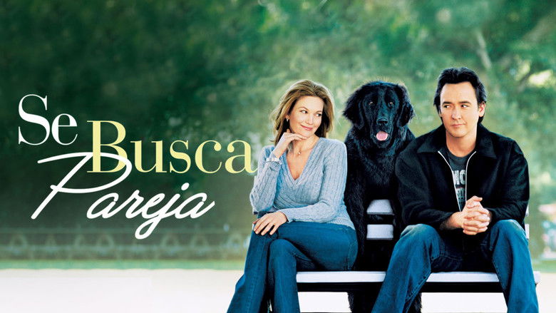 кадр из фильма Любовь к собакам обязательна