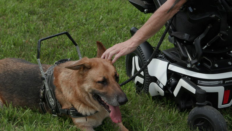 кадр из фильма Driven to Help