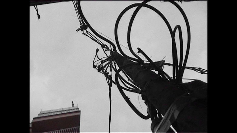 кадр из фильма Cementiri d'antenes