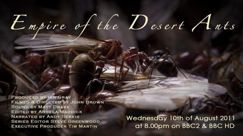 кадр из фильма Attenborough and the Empire of the Ants