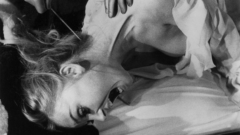 кадр из фильма La tarantola dal ventre nero