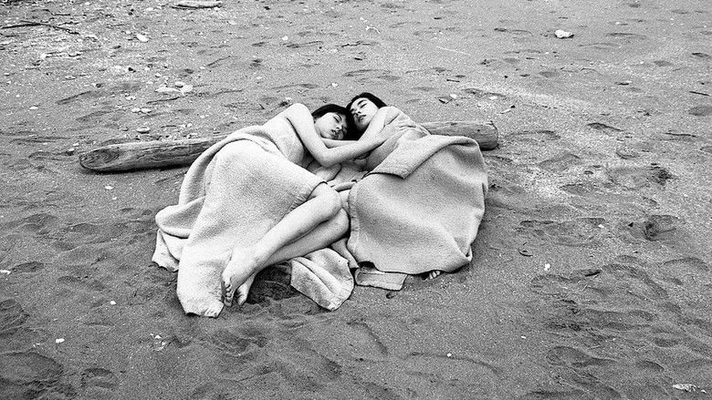 кадр из фильма 本番レズ　恥ずかしい体位