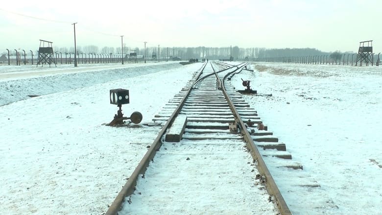 кадр из фильма Mina 19 876 steg i Auschwitz / Birkenau