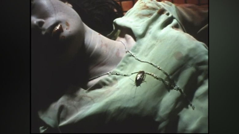 кадр из фильма 腐る女