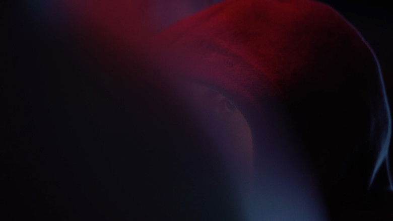 The Choice - The Risks of Web Democracy