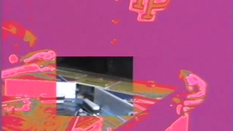 кадр из фильма Flippers