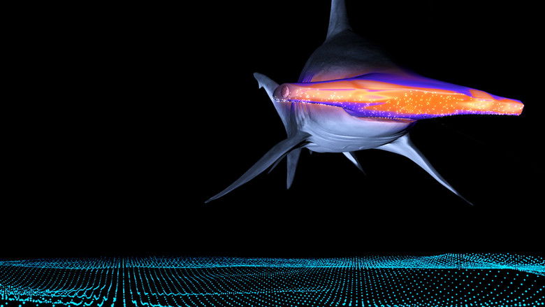 кадр из фильма Mega Hammerhead