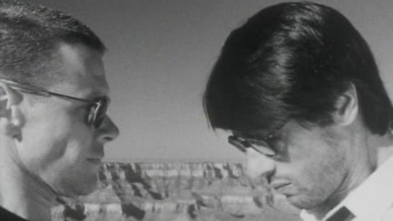 кадр из фильма North of Vortex