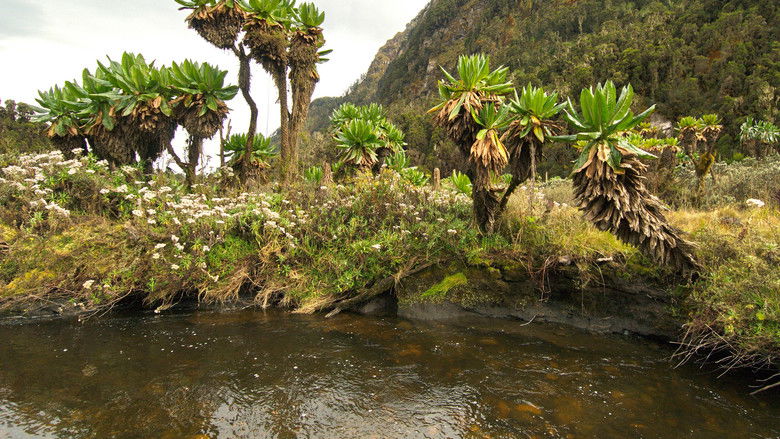 кадр из фильма Дикая Уганда